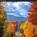 Mary DeHaven - Facebook