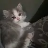 Marie Delage - @marie.delage6 - TikTok