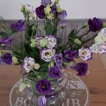 Marie France Delage - @mfd.16 - Instagram