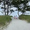 mariedevito729 - @mariedevito729 - TikTok