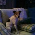 Marie Devries - @myboyyakup - Instagram