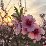 Marie DeVries - @marie.devries.75 - Instagram