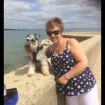 Marie Dillingham - @mariedillingham - Instagram