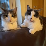 Marie Dodds - @dodds8588 - Instagram
