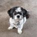Marie Dodds - Facebook
