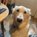 Marie Dodds - Facebook