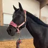 marie.und.donner - @marie.und.donner - TikTok