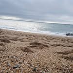 Marie Dowdeswell (rasterfly) - @marie_dowdeswell - Instagram