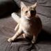Mary Duffield - Facebook