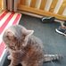 Marie Dufour - Facebook