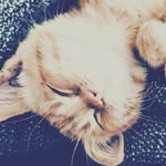 Marie-dufour - @marie_dufourrlo - Instagram