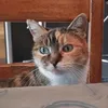 Marie Dufour - @ariecotcot - TikTok