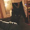 Marie Dufour - @marie.dufour8 - TikTok