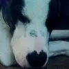 marie eakin - @the_weird_life_11 - TikTok