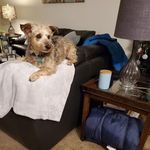 Marie Echols - @marie.echols.102 - Instagram