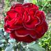 Marie Edmonds - Facebook