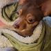 Marie Emerick - Facebook