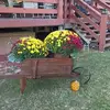 Marie Estep ReRe - @marie.estep.rere - TikTok