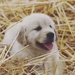 Marie Evers - @feurigverblueffende - Instagram
