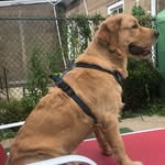 Marie Ferrell - @marbui43 - Instagram