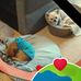 Suzie Marie Fordham - Facebook