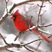 Mary Parker Forman - Facebook