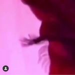 M - @mariefraser_ - Instagram