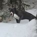 Marie Fraser - Facebook
