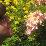 Marie Garton - @fluffypigeon78 - Instagram