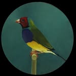 Marie-Paule Gary - @loeuvriere - Instagram