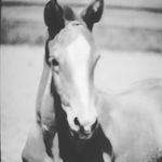 Marie_Sunmoon - @marie_gerdes2204 - Instagram