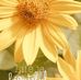 Marie Giles - Facebook