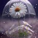 Marie Giunta - Facebook