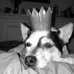 Sasha Marie Goolsby - @queensasha_pup - Instagram