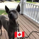 Marie E. Grubb - @grubb.marie - Instagram
