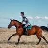 Marie Hahn - @besonderes.pony - TikTok