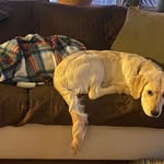 Marie Morin-Hallquist - @morinhallquist - Instagram