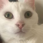 Princess Marie Banana Hammock - @princessmariebanana - Instagram