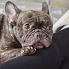 Marie Hare - @marie.hare - TikTok