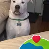 Marie Hatten - @marie.hatten4 - TikTok
