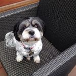 Marie Healey - @marie.healey.338 - Instagram