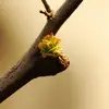 Heaps Adamarie - @heaps.adamarie - TikTok