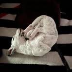 Marie Hecker - Facebook