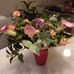 Marie-Claude Heitz - Facebook