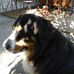 Marie Heitz - Facebook