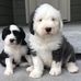 Marie Heitz - Facebook