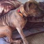 Ann Marie Delorme-Heller - @delormeheller - Instagram