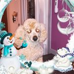 Anne Marie Heller - @annemarie.heller.12 - Instagram