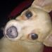 Marie Helms - Facebook