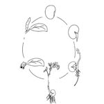 Marie Hester - @seedtofruitcommunityworks - Instagram